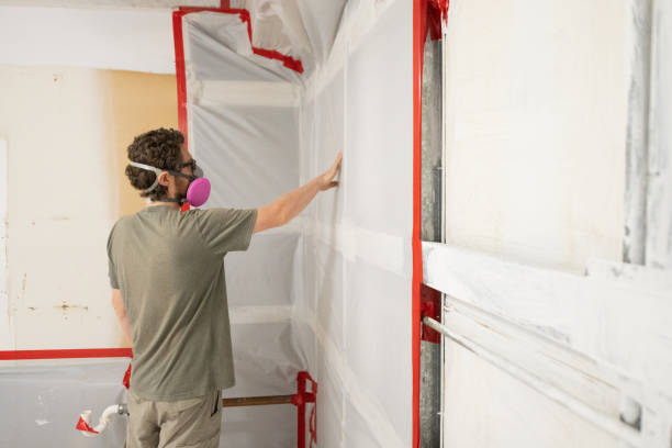 Haines City, FL Mold Removal Company