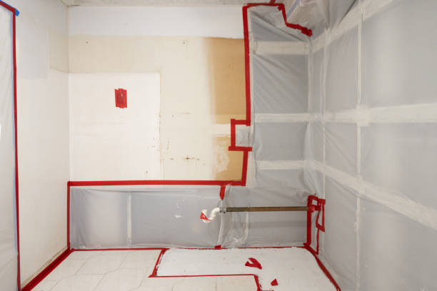Best Mold Remediation for Healthcare Facilities  in Haines City, FL