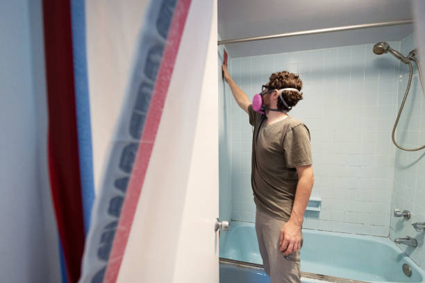 Best Biohazard Mold Removal  in Haines City, FL