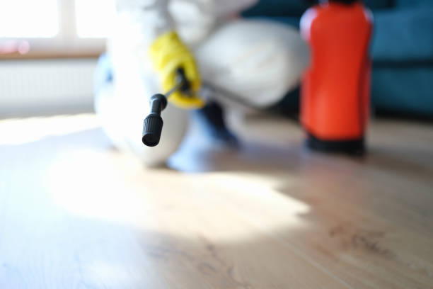 Best Environmental Consulting for Mold Prevention  in Haines City, FL