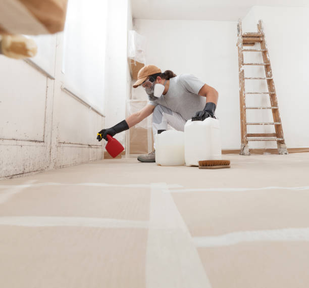 Haines City, FL Mold Removal Company