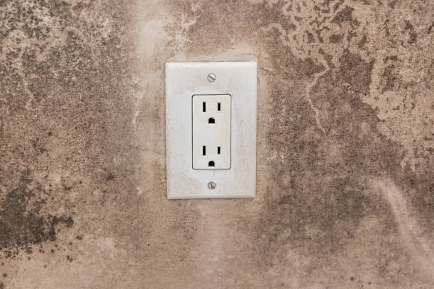 Best Mold Odor Removal Services  in Haines City, FL